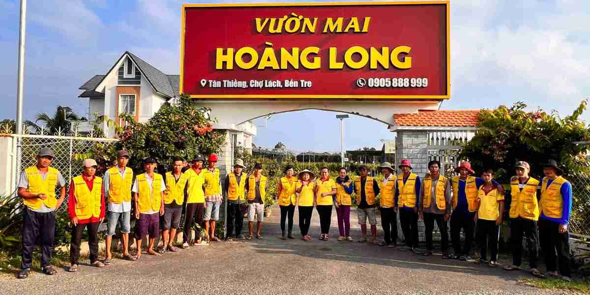 Top 10+ Chợ Hoa Tết Sài Gòn Nổi Tiếng Nhộn Nhịp Bật Nhất Năm 2025